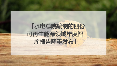 水电总院编制的四份可再生能源领域年度智库报告隆重发布
